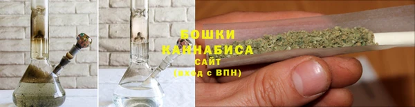 спиды Богородск