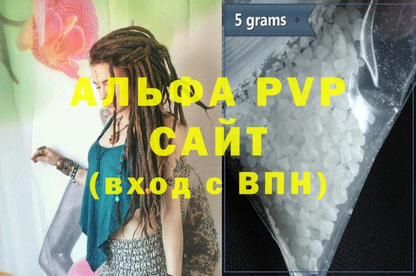ГАЛЛЮЦИНОГЕННЫЕ ГРИБЫ Богданович