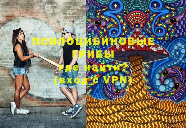 спиды Богородск