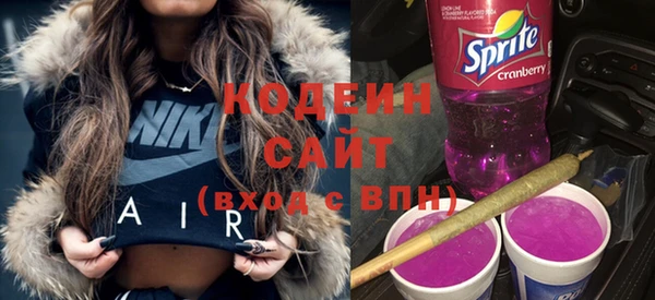 ГАЛЛЮЦИНОГЕННЫЕ ГРИБЫ Богданович