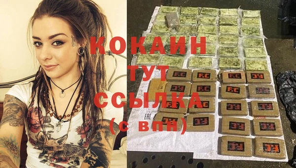 ГАЛЛЮЦИНОГЕННЫЕ ГРИБЫ Богданович