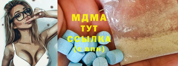 ГАЛЛЮЦИНОГЕННЫЕ ГРИБЫ Богданович